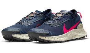 NIKE TRAIL PEGASUS 3 GTX (M) DC8793-401