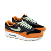 NIKE AIR MAX 1 PRM "UGLY DUCKLING" ANTH/HONEY/KUMQUAT DZ0482-001