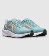 NIKE AIR ZOOM PEGASUS 39 (GGS) DM4015-409