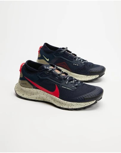 NIKE TRAIL PEGASUS 3 GTX (M) DC8793-401