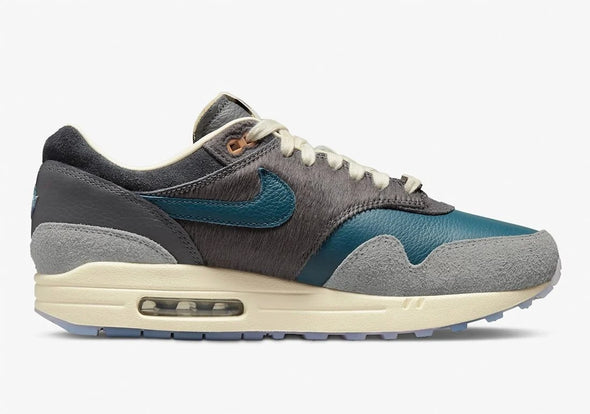 NIKE AIR MAX 1 x KASINA (M) DQ8475-001 / "WONG-ANG / GREY"